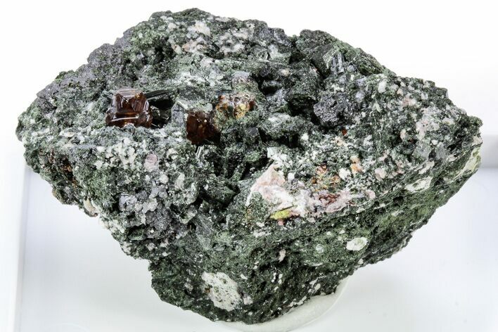 Lustrous Andradite (Topazolite) Garnets in Actinolite - Iran #305651